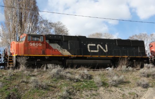 CN 5605
