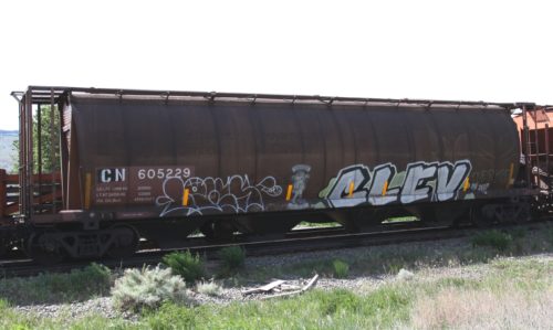 CN 605 229
