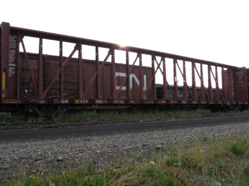 CN 625 300