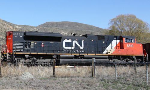 CN 8810