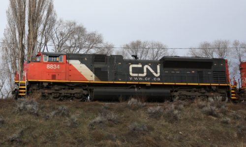 CN 8834