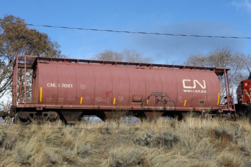 CNLX 7081